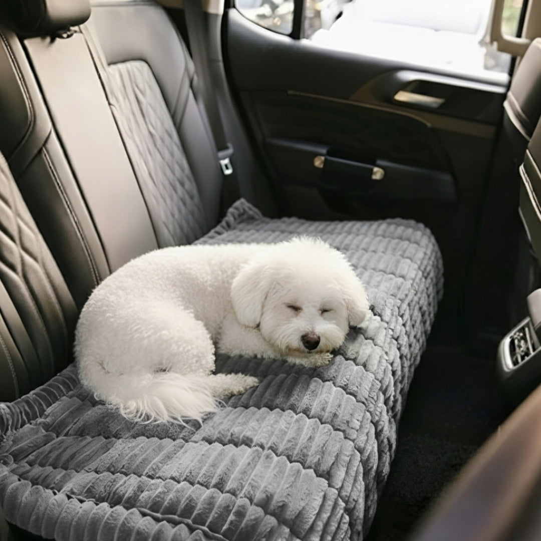 Keep Your Sofa Clean, Soft & Protected