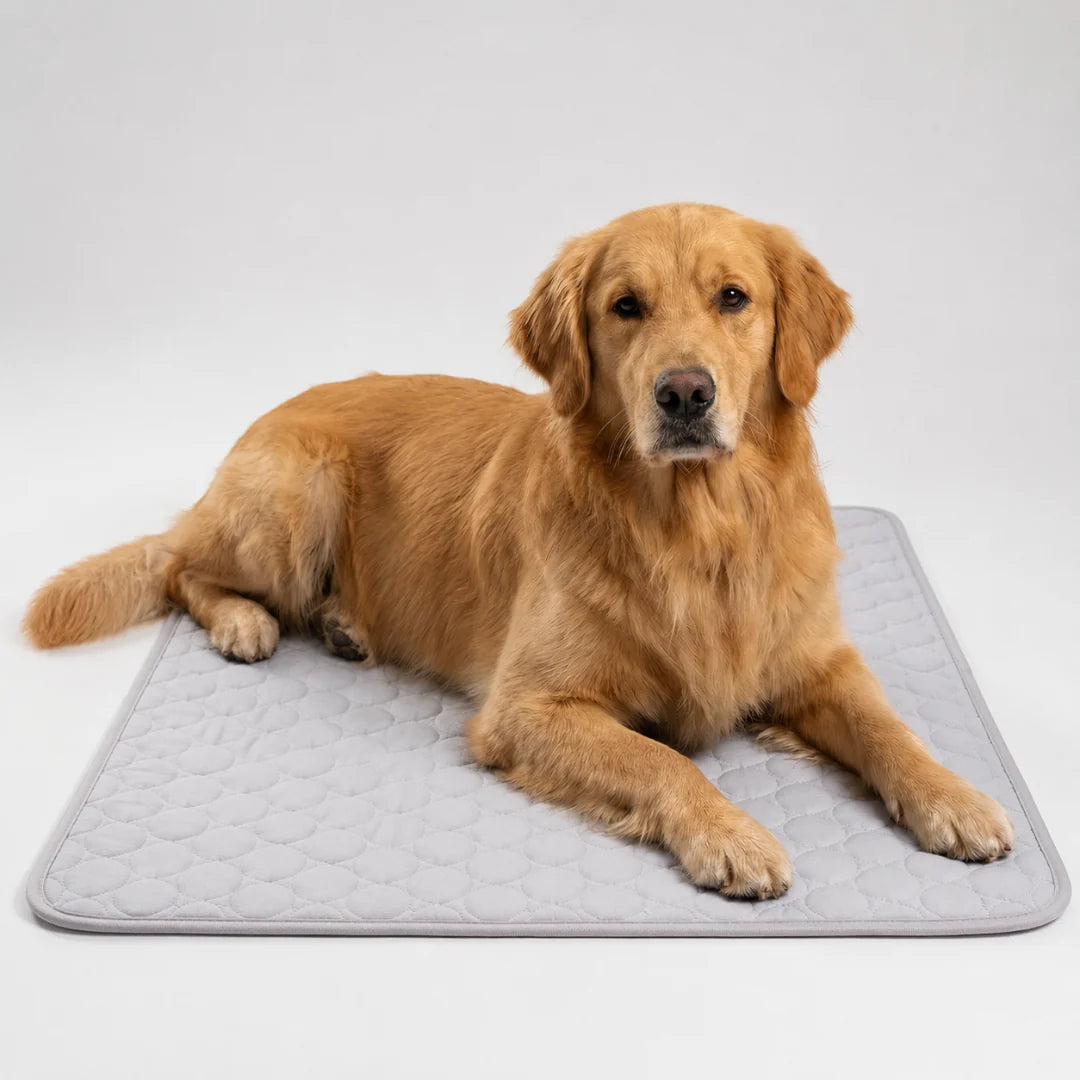 Thrives Outdoor | Frostbed Washable Pet Cooling Mat
