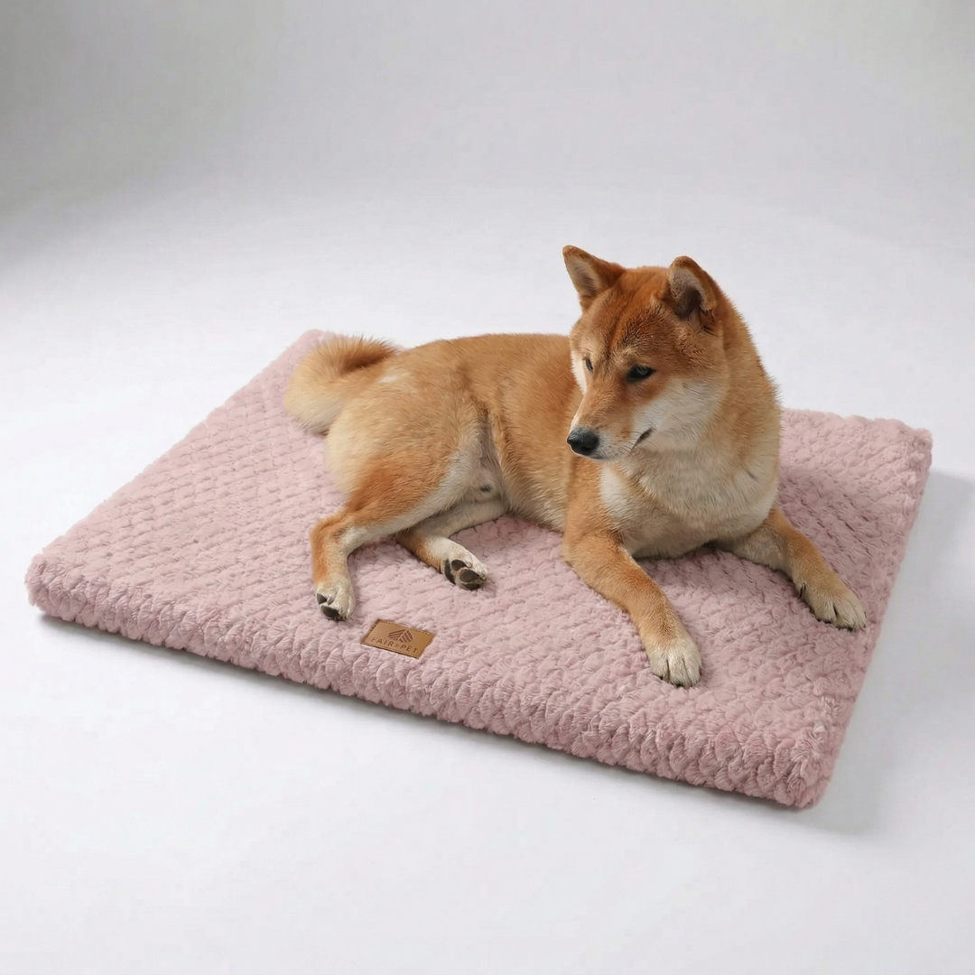 Thrives Outdoor | Pawloft Flat Orthopedic Dog Mat With Foam Base