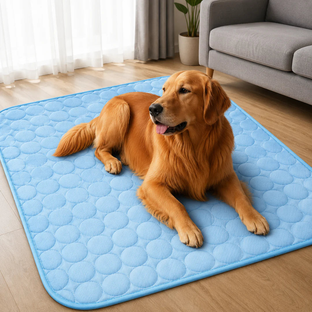 Thrives Outdoor | Frostbed Washable Pet Cooling Mat