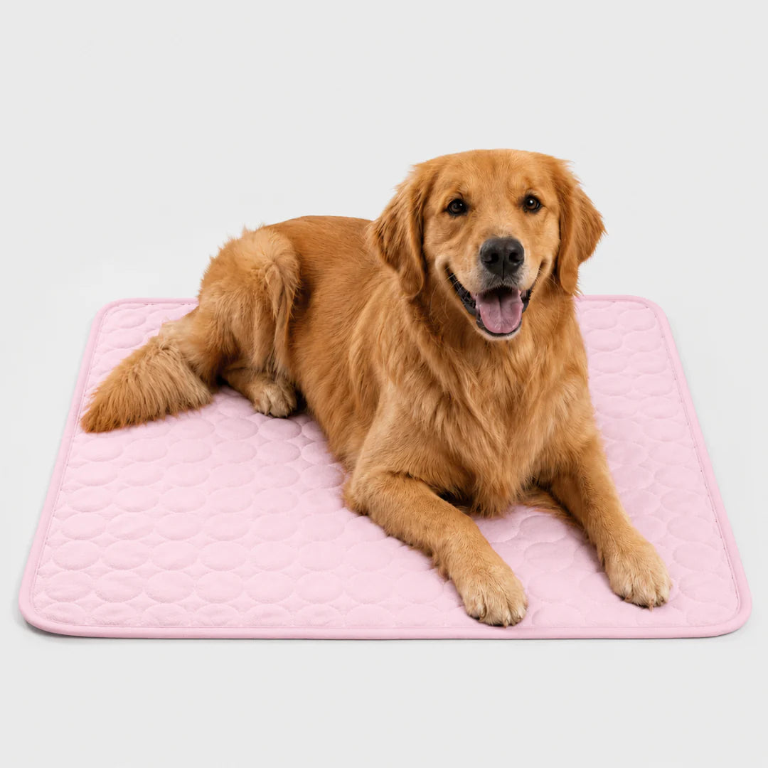 Thrives Outdoor | Frostbed Washable Pet Cooling Mat