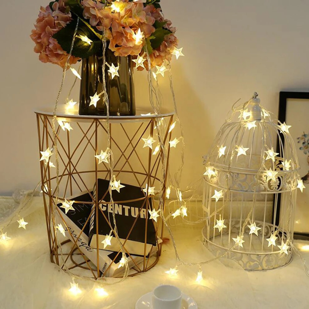 Thrives Outdoor | StarLuma Fairy Lights