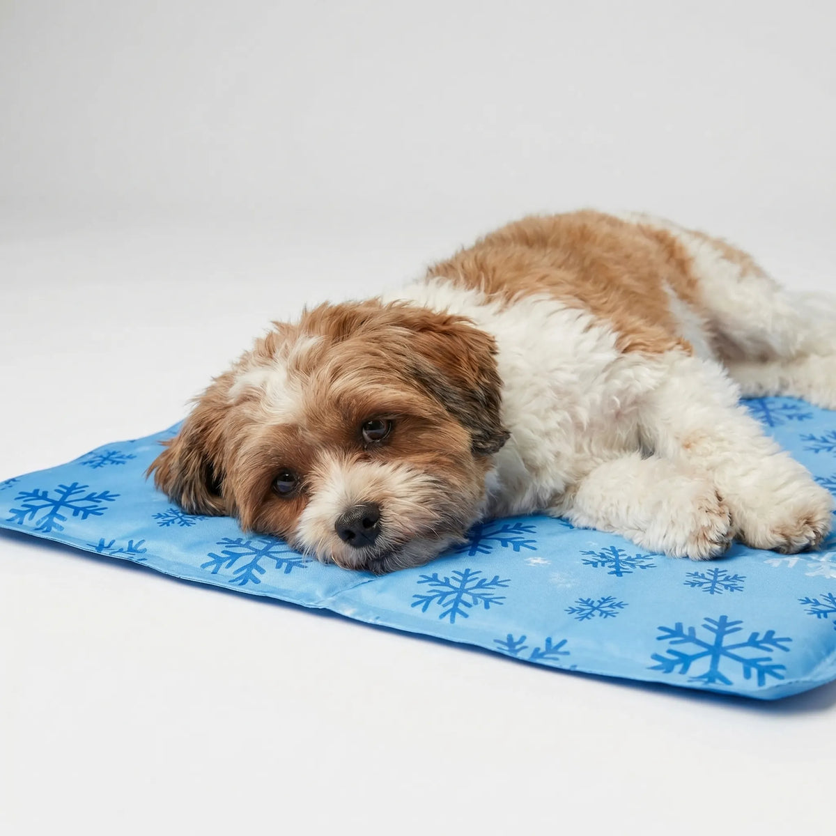 Water-filled pet cooling mat with snowflake pattern for dogs and cats