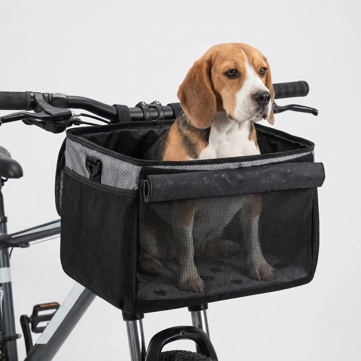Collapsible bike front pet carrier with mesh panels and suspension