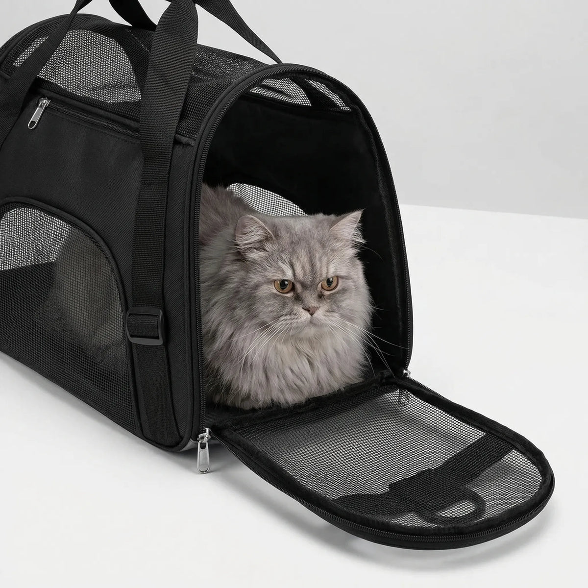 Foldable mesh pet carrier bag with ventilated panels and shoulder strap