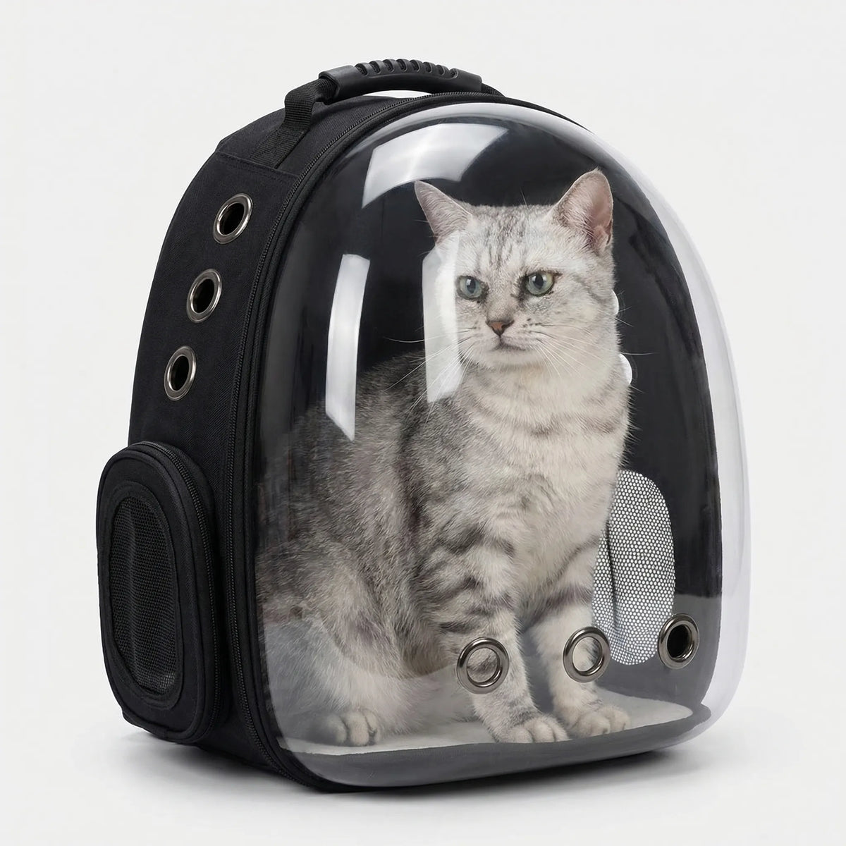 Cat carrier backpack with transparent panoramic dome and ventilation ports