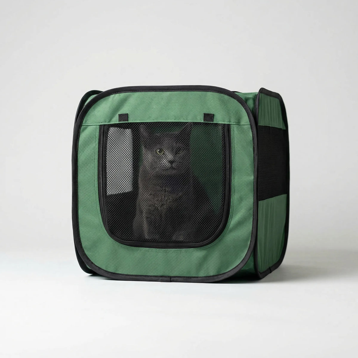Pop-up pet kennel with mesh panels for large dogs and cats
