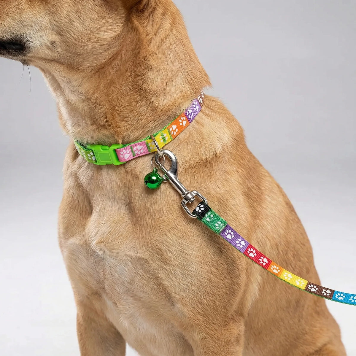 Adjustable paw print collar and lead set for small dogs and cats