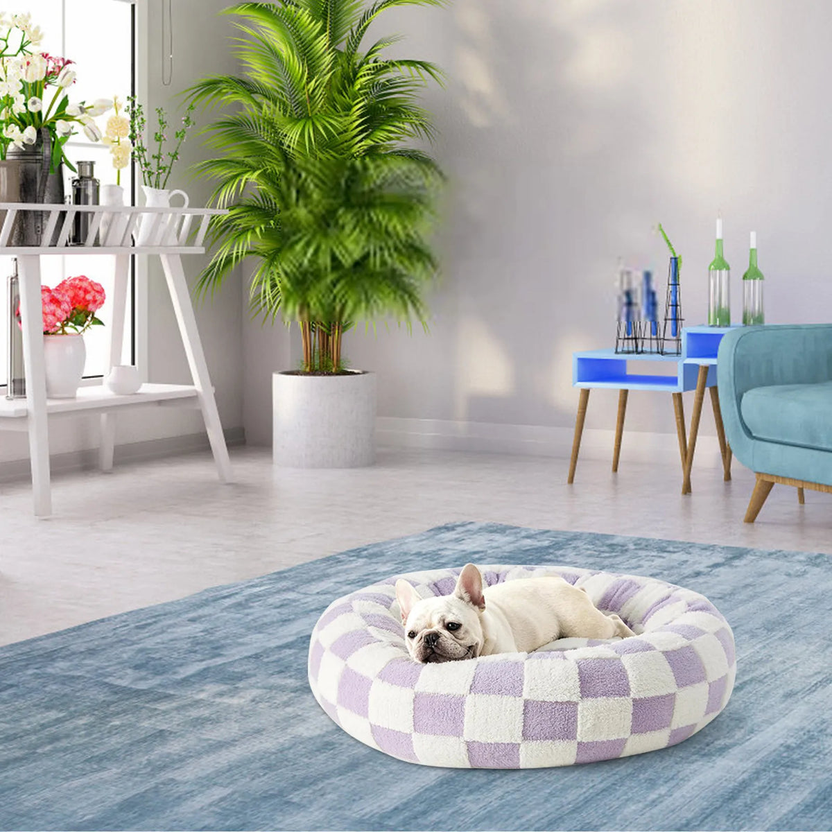 Round plush dog bed for small dogs with raised bolster edge non-slip