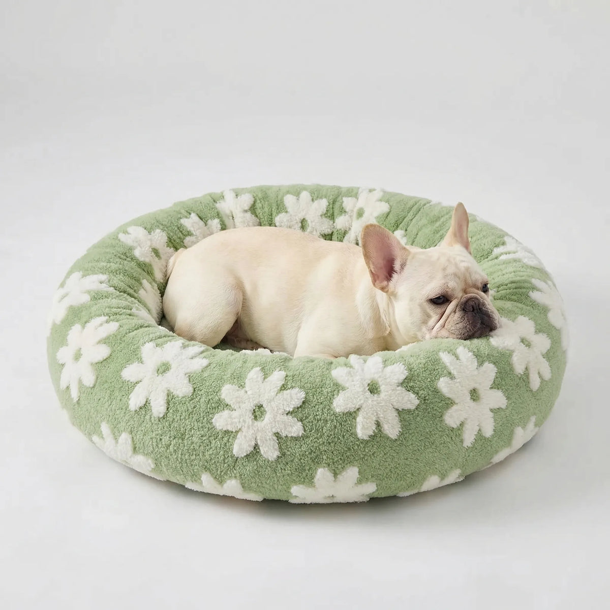 Round plush dog bed for small dogs with raised bolster edge non-slip