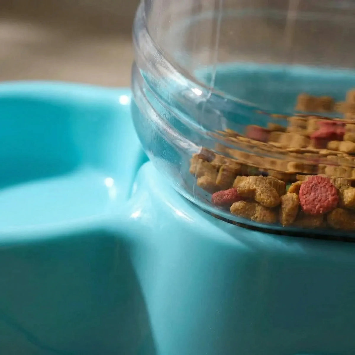 Automatic gravity pet feeder for cats and dogs with 3.8 litre reservoir