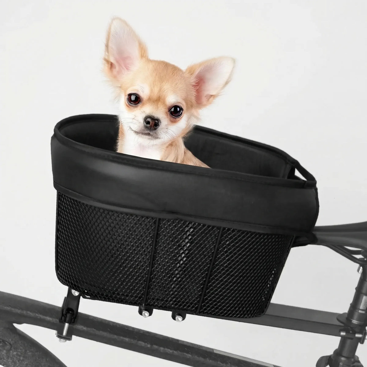 Pet carrier basket for bikes with padded lining and safety harness