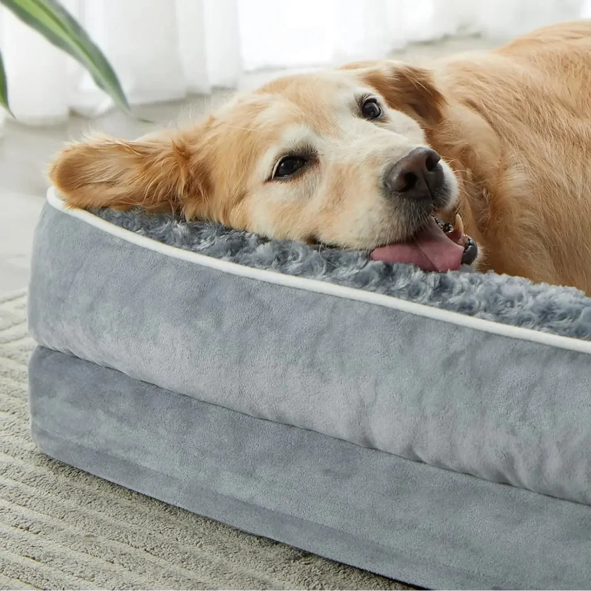 Orthopaedic sofa-style dog bed with supportive foam and washable cover