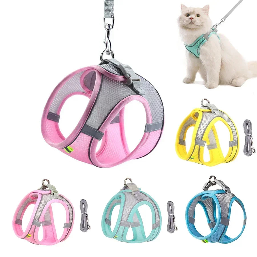 Adjustable vest harness with matching lead for small dogs and cats
