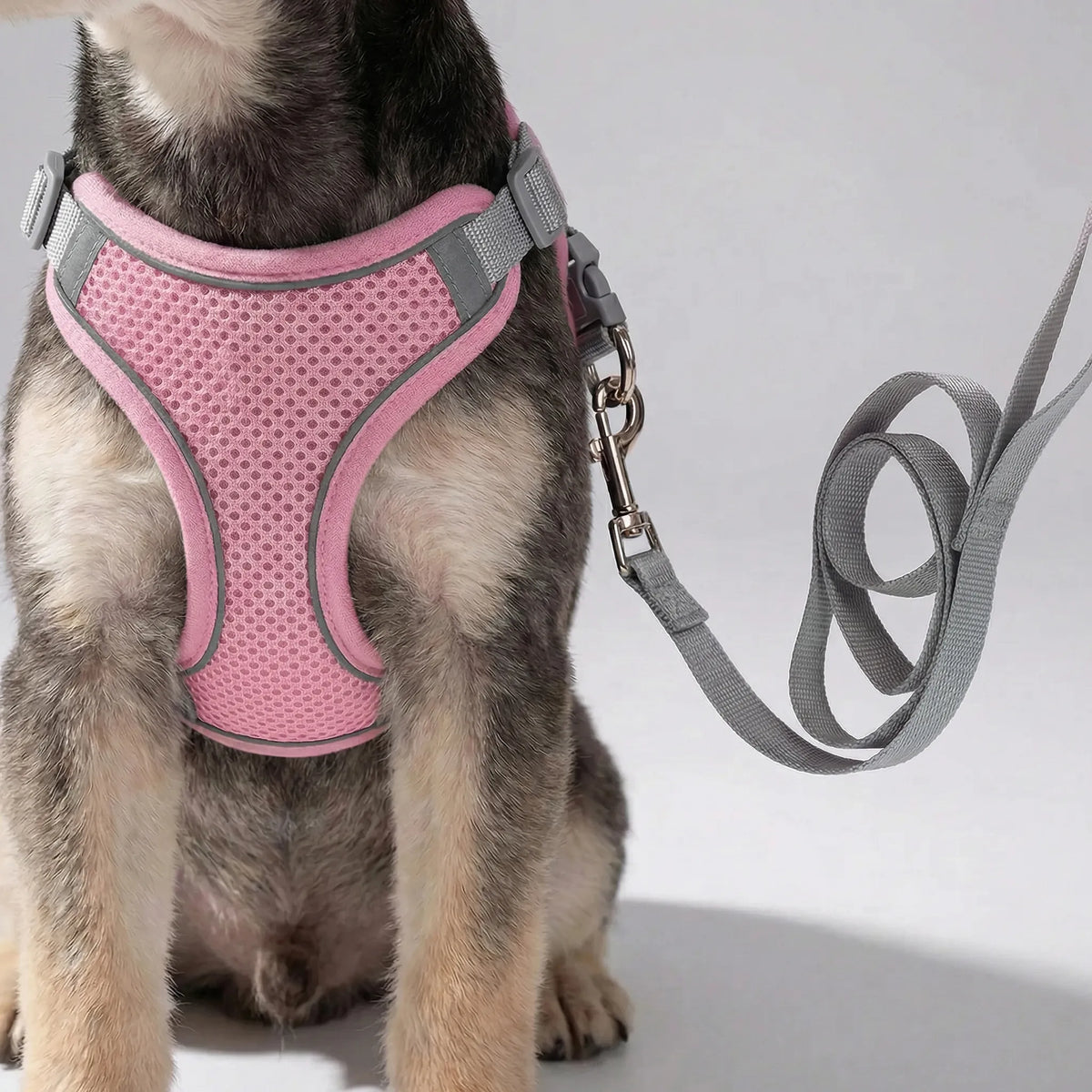 Adjustable vest harness with matching lead for small dogs and cats