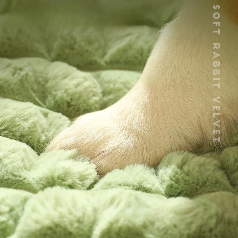 Orthopaedic pet bed for dogs and cats with removable washable cover