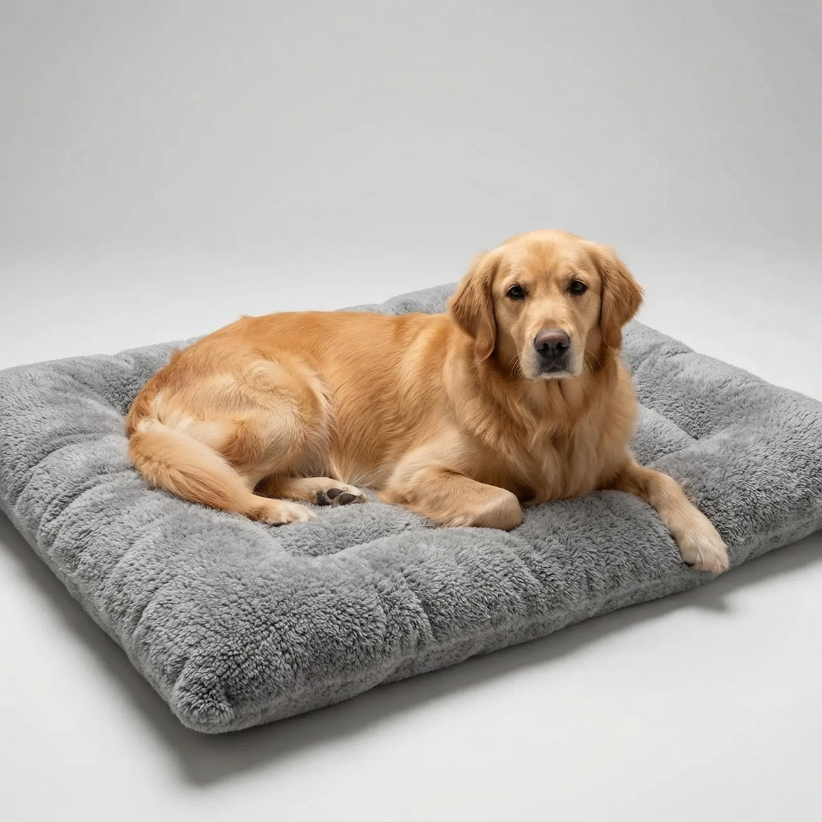 Extra large flat plush dog bed with quilted padding for all breeds