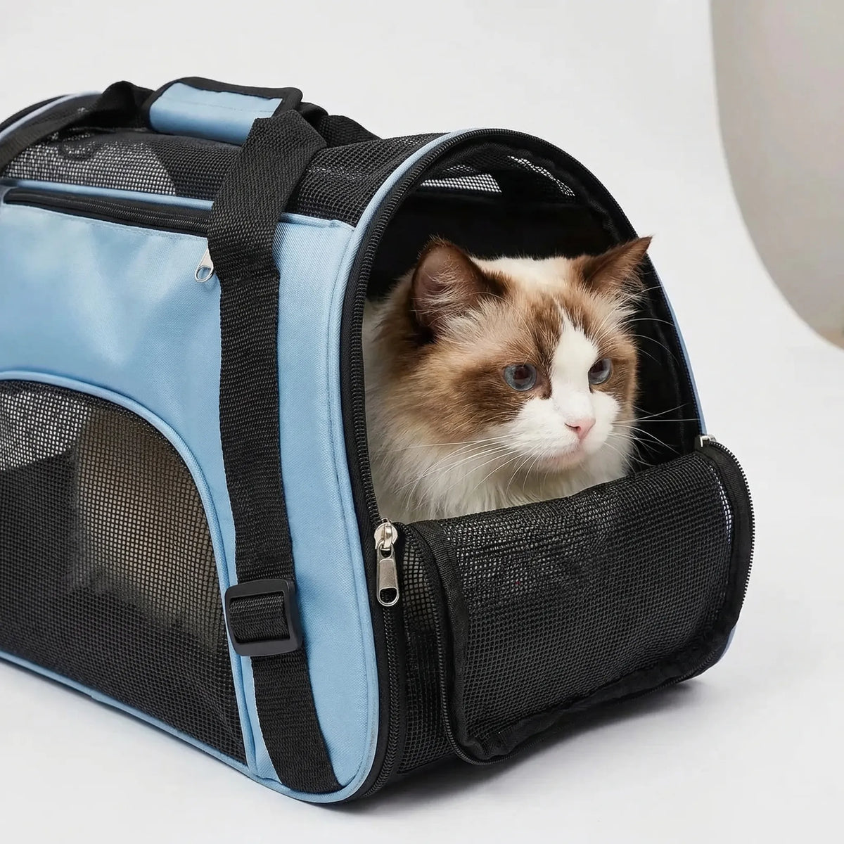 Breathable mesh pet carrier bag with open tent roof for small dogs and cats