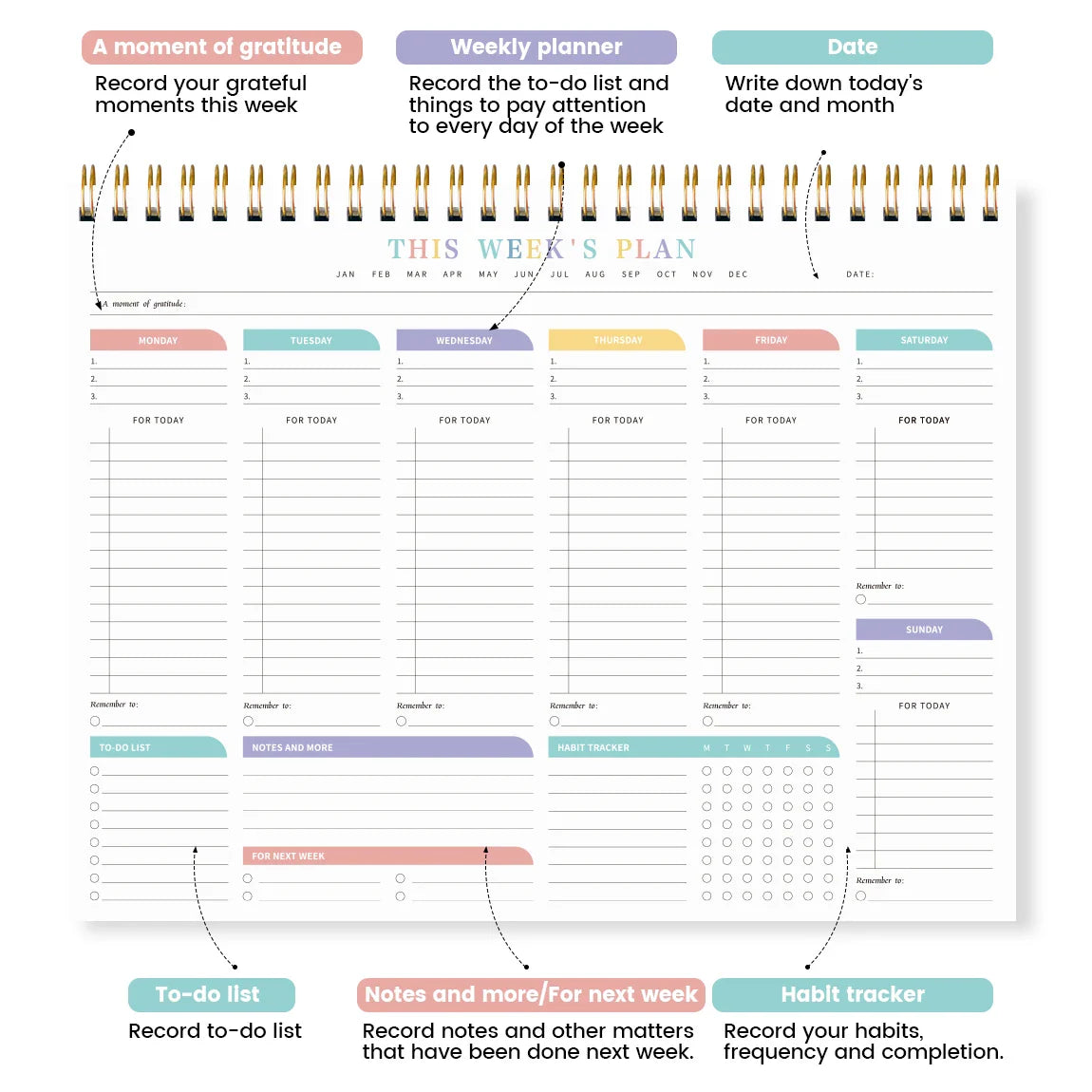 Undated weekly planner pad with habit tracker and priority to-do list