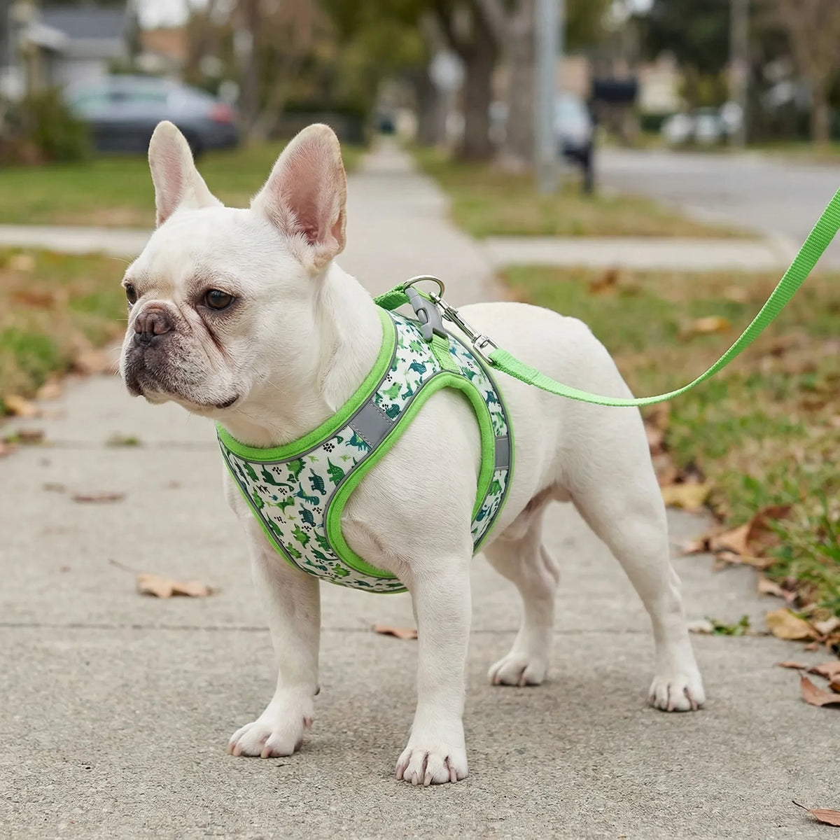 Small dog mesh vest harness with matching lead, reflective trim