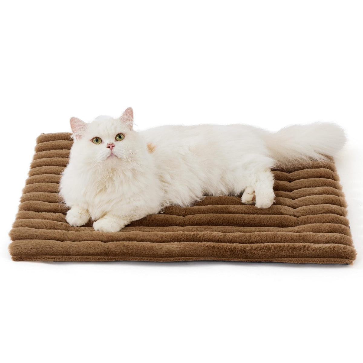 Self-Warming Pet Mat for Cats & Dogs ā Quiet, Non-Slip & No Electricity