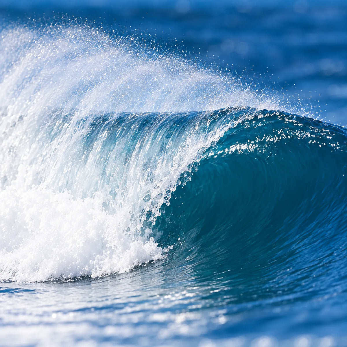 Thrives Outdoor | JollyRoger Short Sleeve Rash Guard