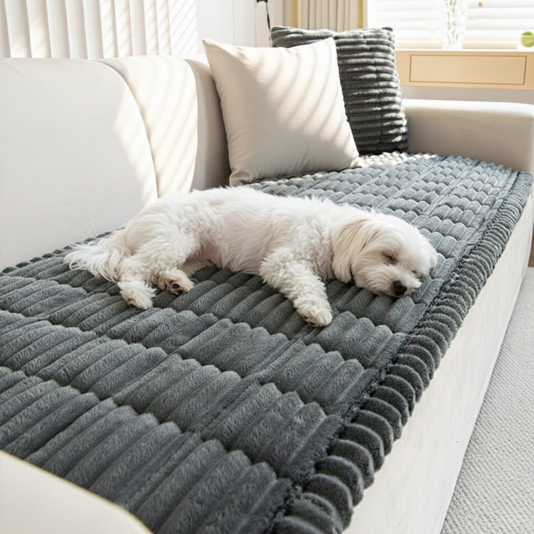 Keep Your Sofa Clean, Soft & Protected