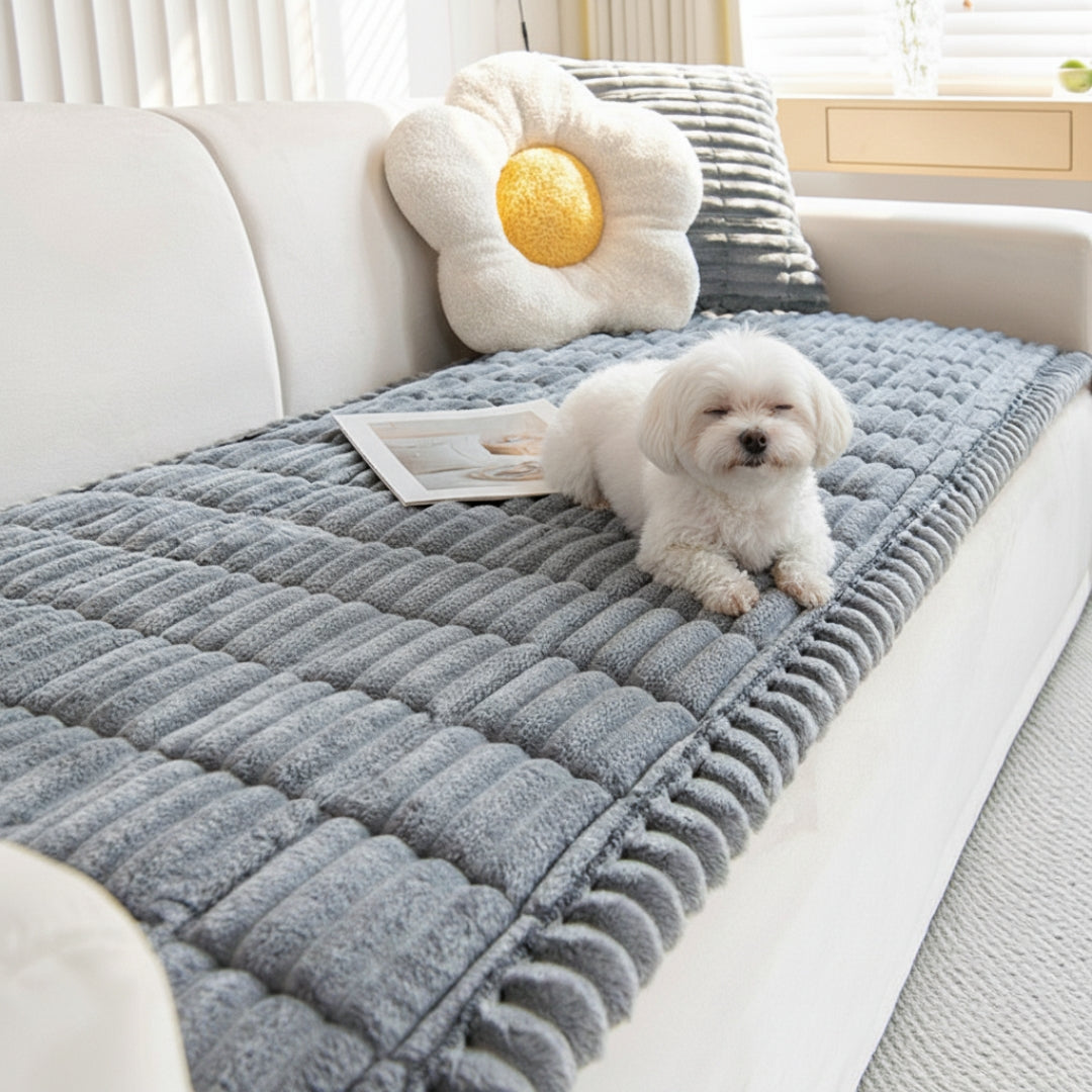 Keep Your Sofa Clean, Soft & Protected