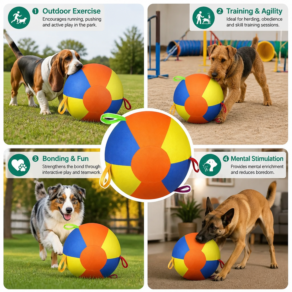 Interactive Colorful Herding Ball with Handles for Dogs β Durable Outdoor Training Toy