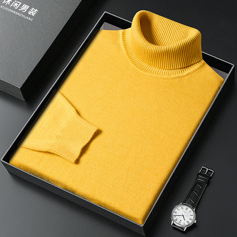 Stylish Turtleneck Sweater