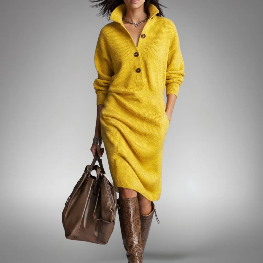 Sophisticated High Neck Dress