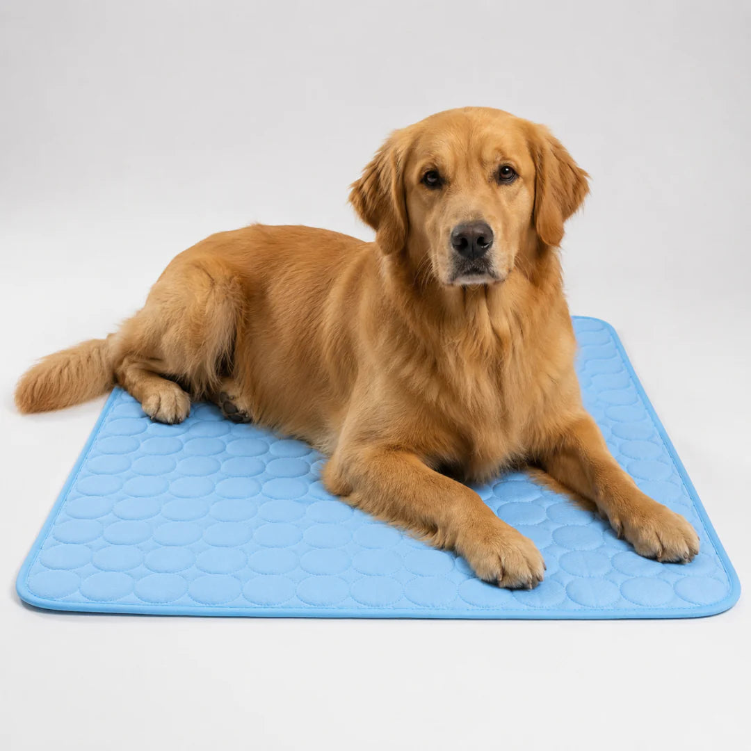 Thrives Outdoor | Frostbed Washable Pet Cooling Mat
