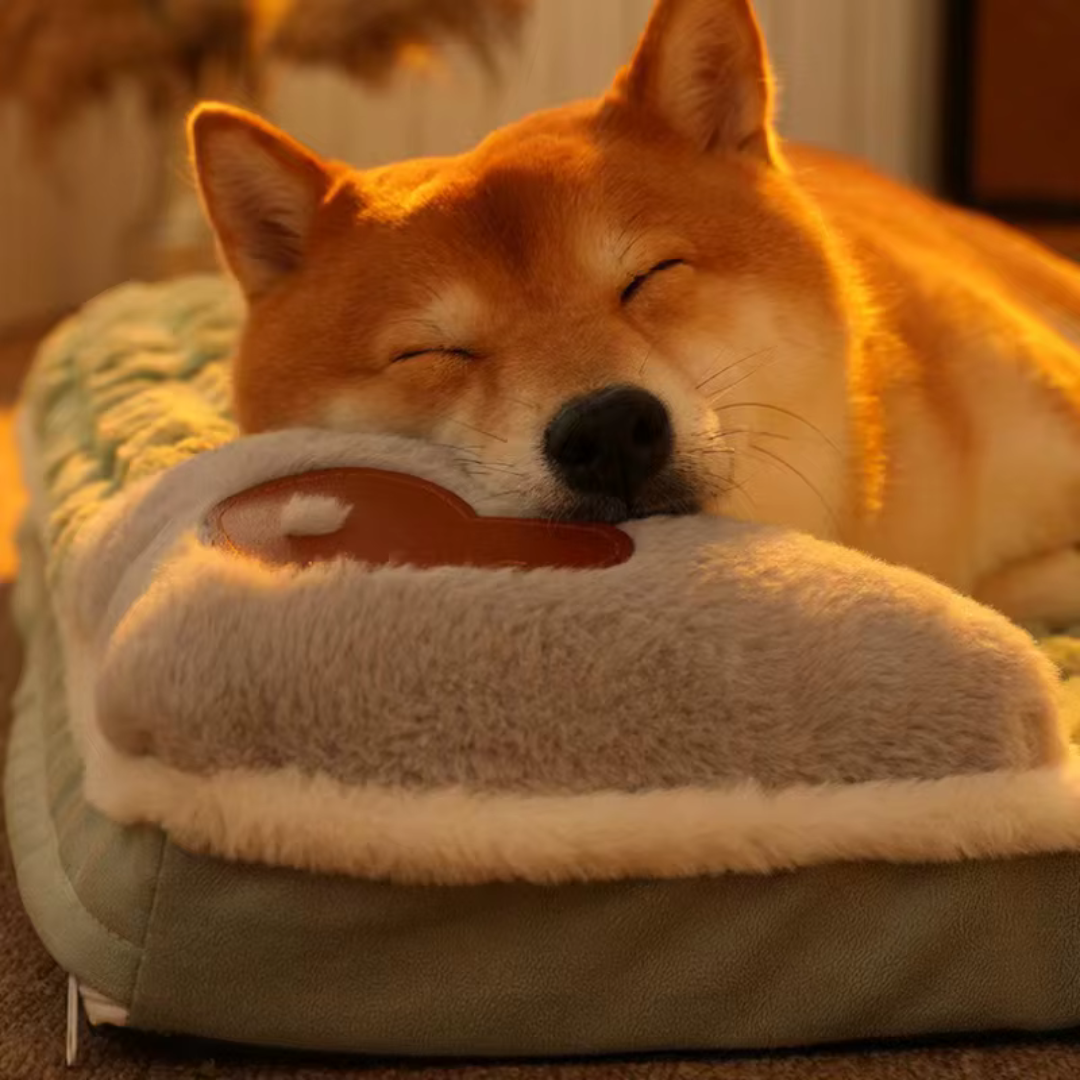 Thrives Outdoor | Pawselle Orthopedic Memory Foam Pet Bed