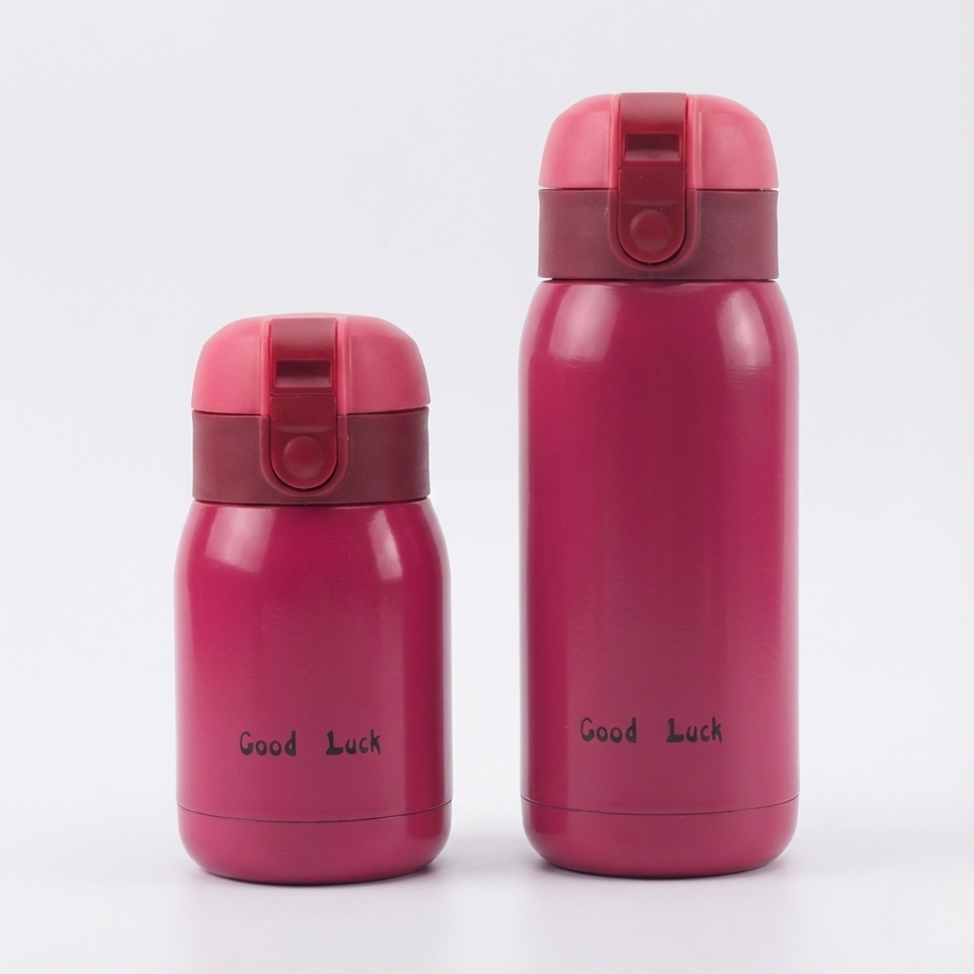 Thrives Outdoor | ThermiPix Small Insulated Stainless Steel Flask