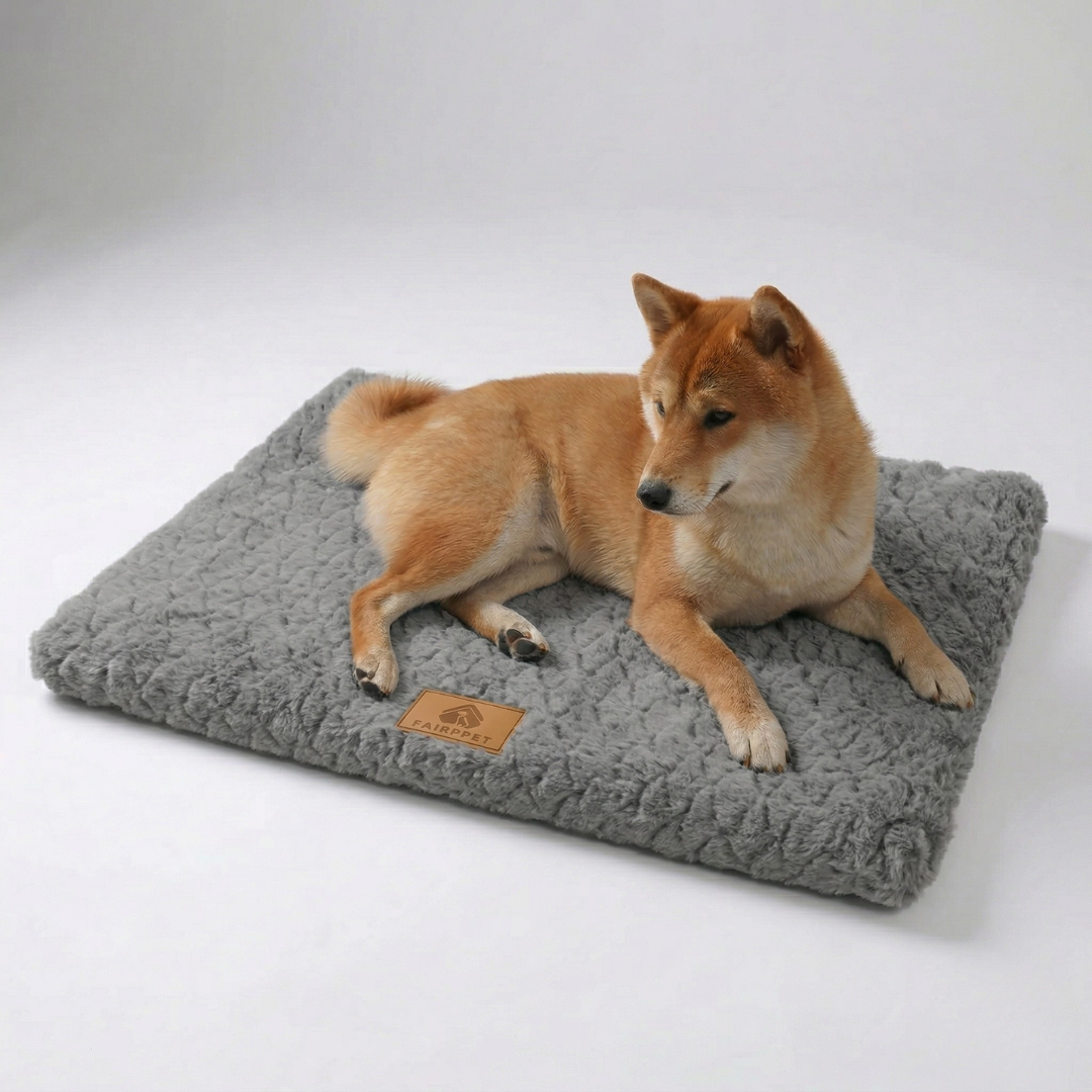 Thrives Outdoor | Pawloft Flat Orthopedic Dog Mat With Foam Base