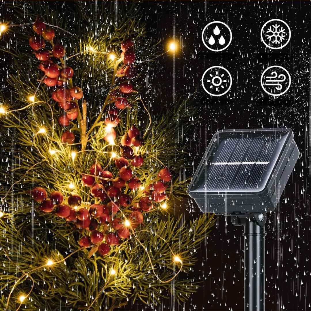 Thrives Outdoor | LumaTrail String Lights