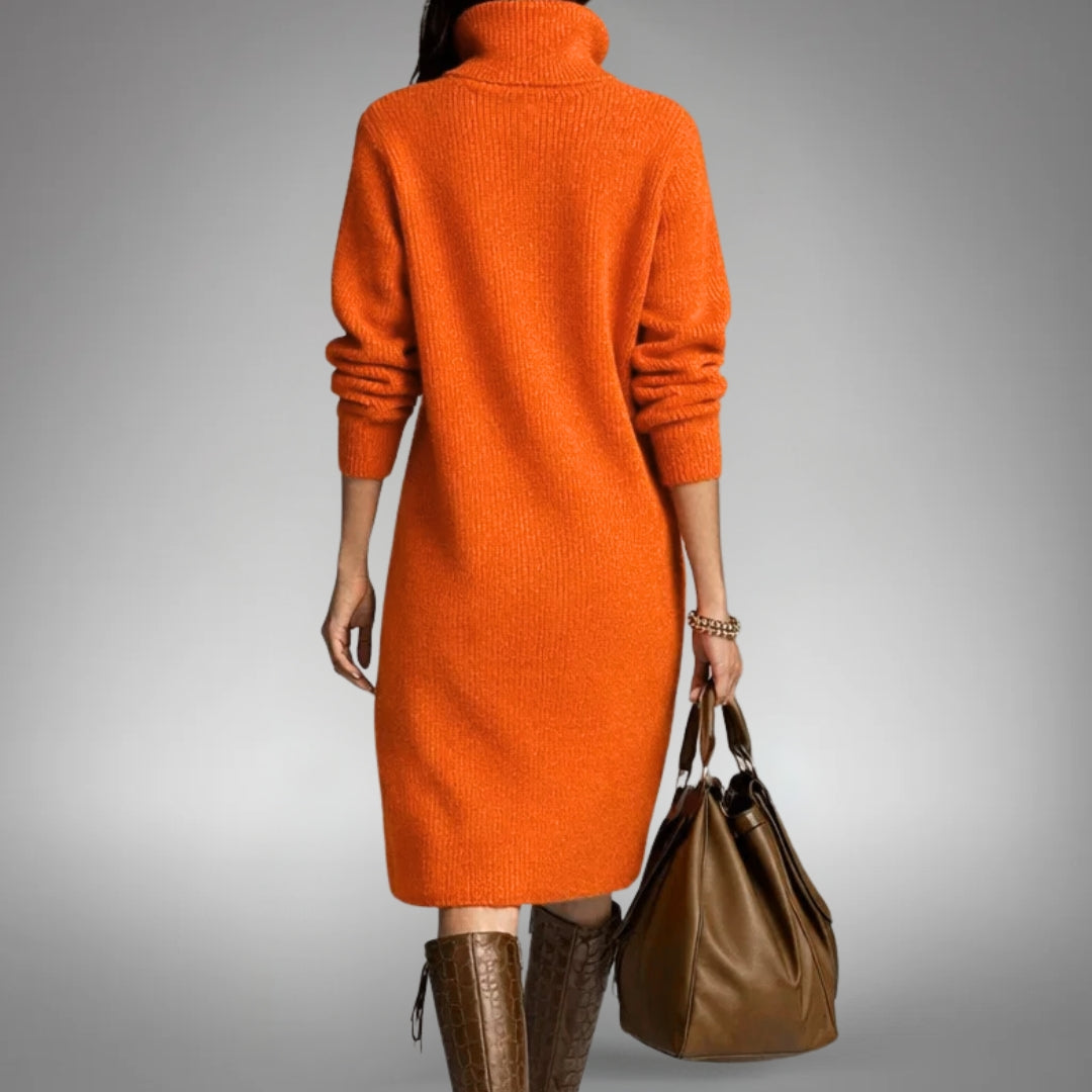 Sophisticated High Neck Dress