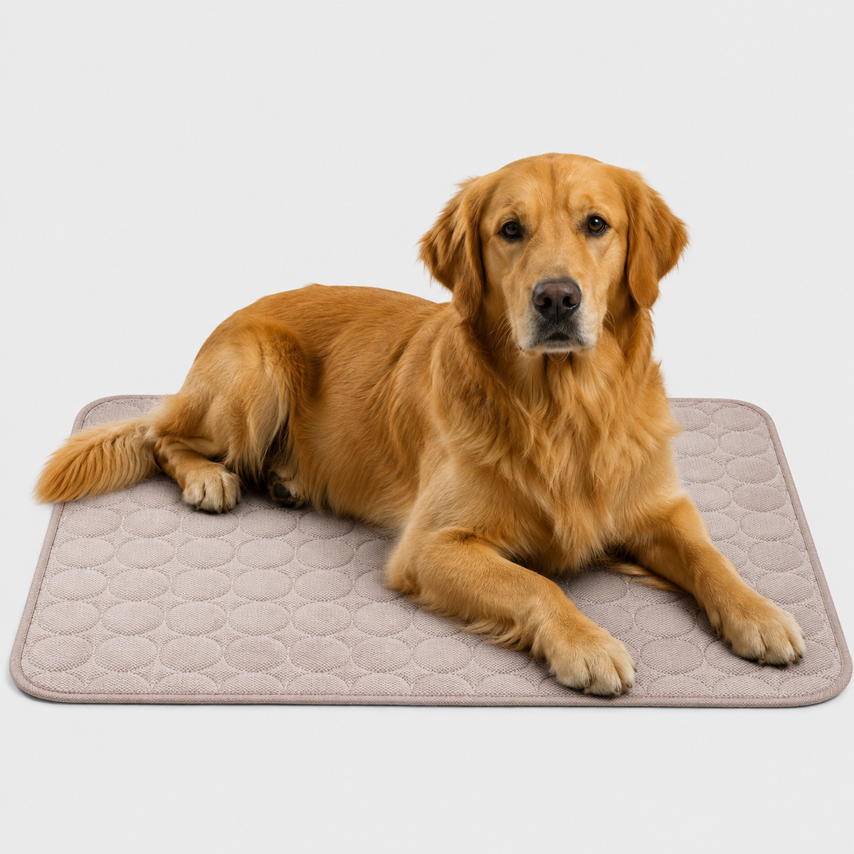 Thrives Outdoor | Frostbed Washable Pet Cooling Mat