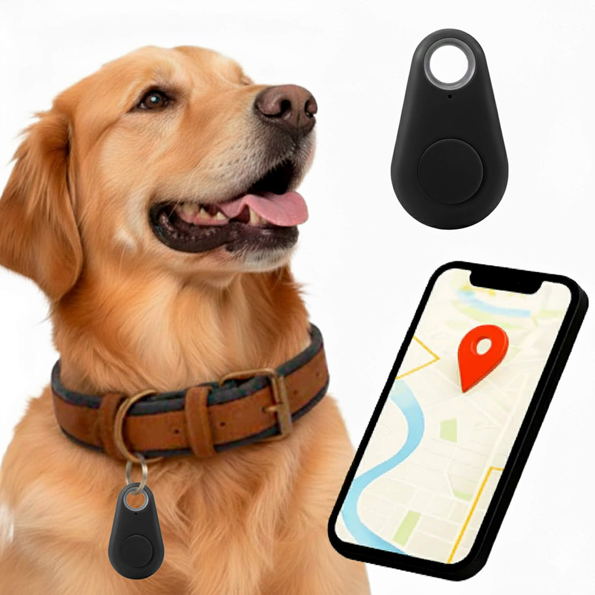 Dog GPS Tracker No Monthly Fees, Real-Time Location Updates