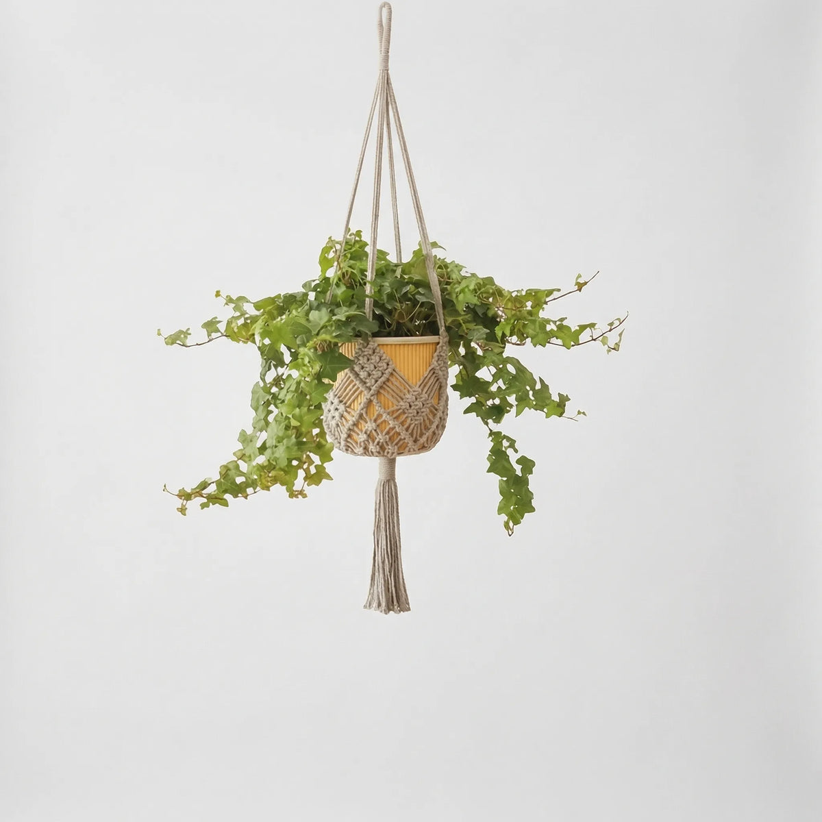 Boho macrame woven plant hanger with geometric knotted design and tassel finish