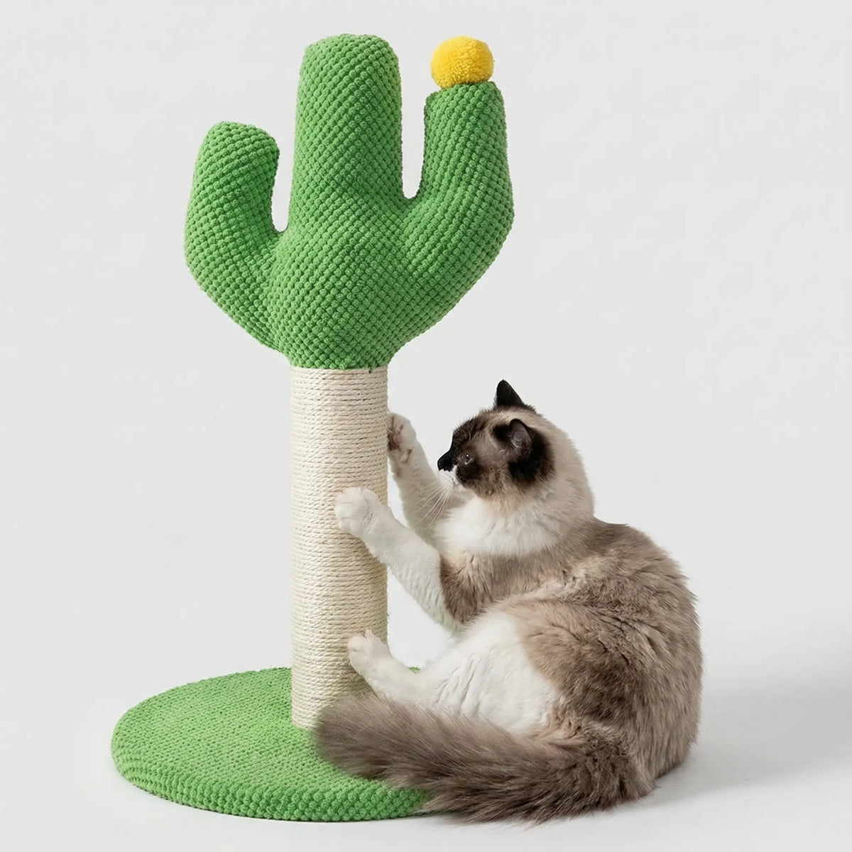 Cactus-shaped cat scratching post with tall rope post and dangling pompom balls