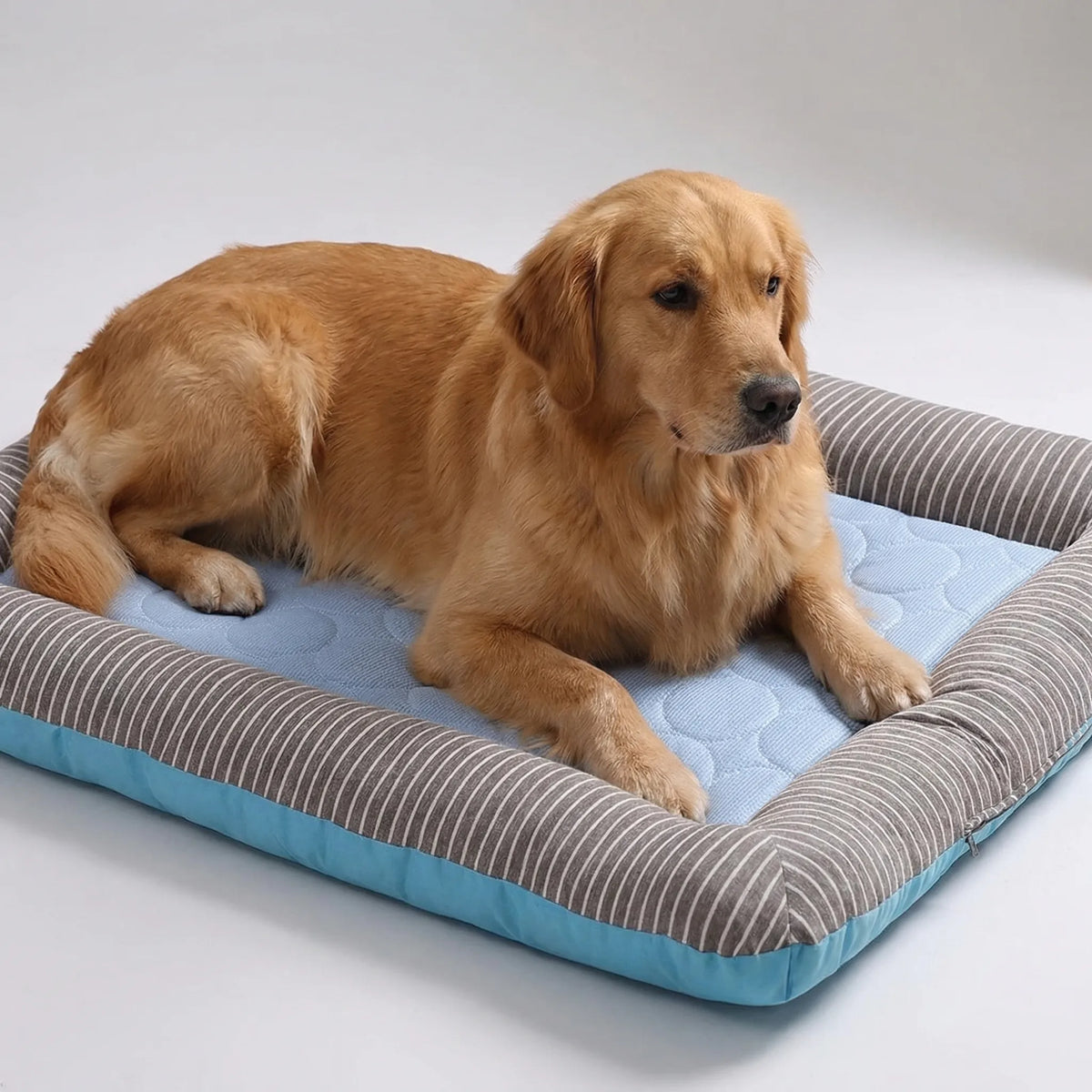 Pet cooling mat with cool-touch breathable fabric and padded border
