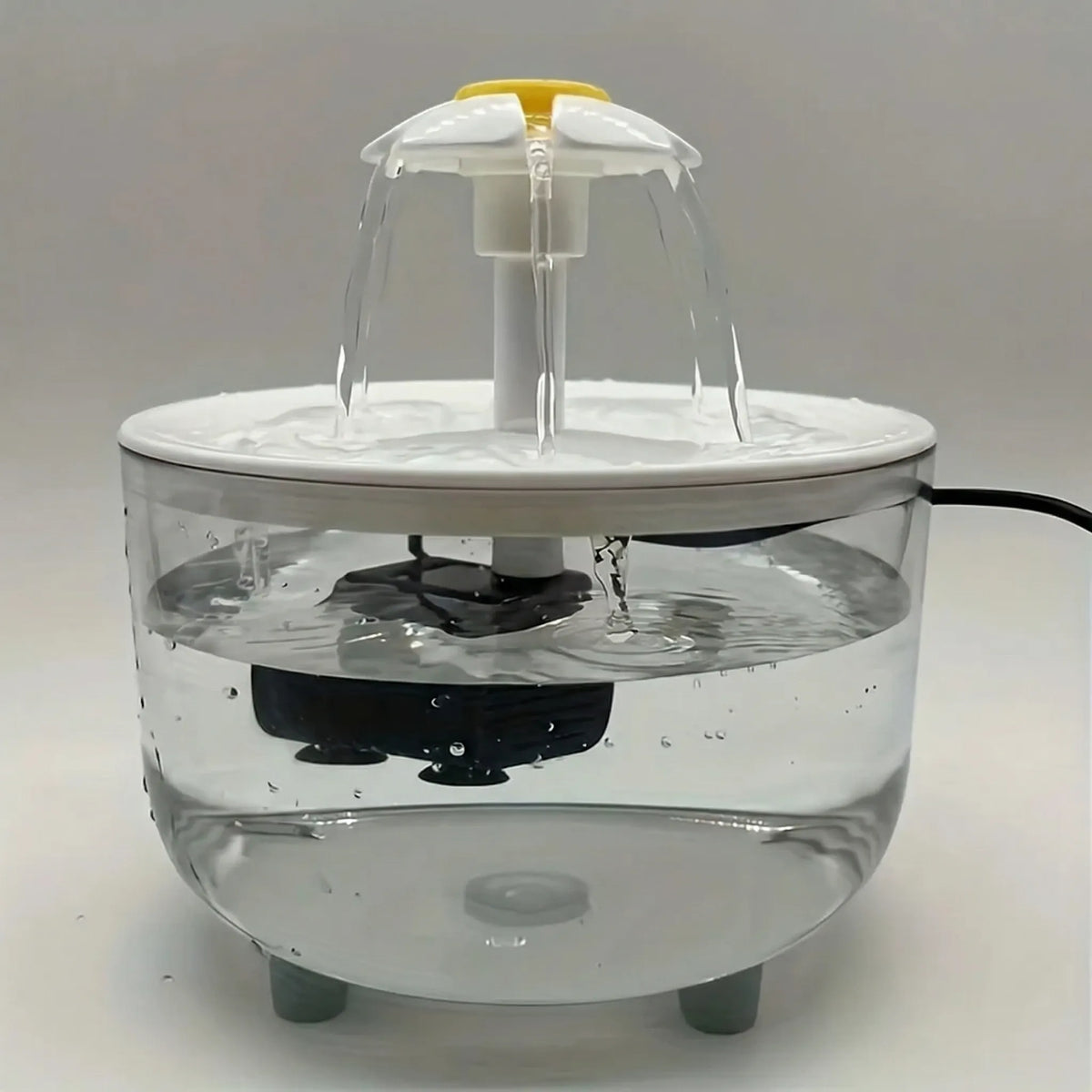 Cat water fountain with filter and USB pump for drinking water