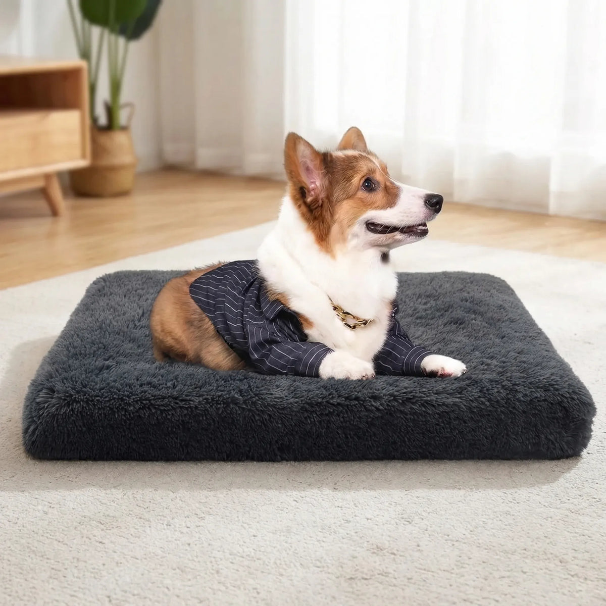 Rectangular pet mattress with plush cover and foam core for dogs and cats