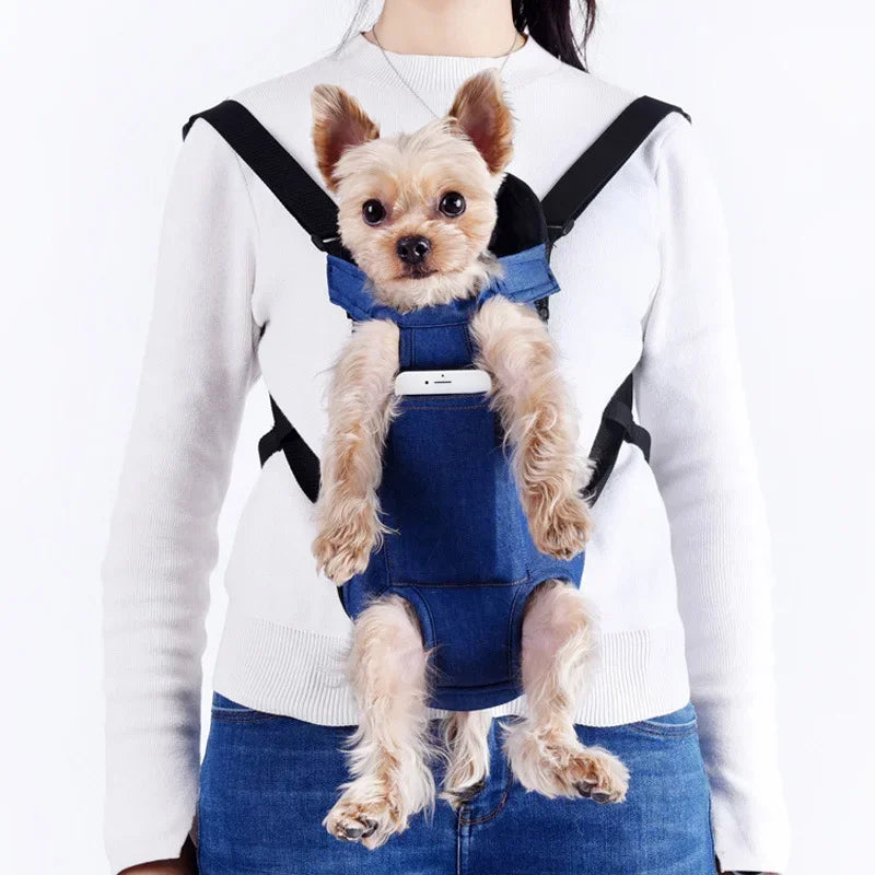 Pet front carry backpack with breathable mesh panels for cats and small dogs