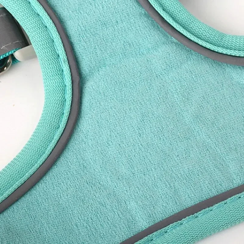 Reflective pet vest harness for small dogs and cats with retractable lead