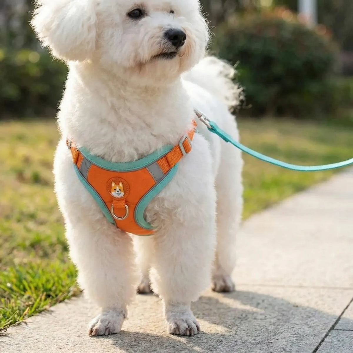 Reflective pet vest harness for small dogs and cats with retractable lead