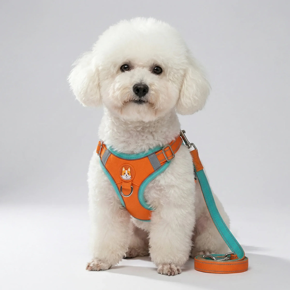Reflective pet vest harness for small dogs and cats with retractable lead