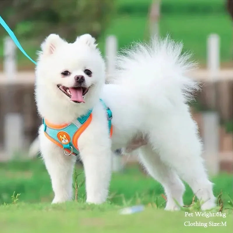 Reflective pet vest harness for small dogs and cats with retractable lead