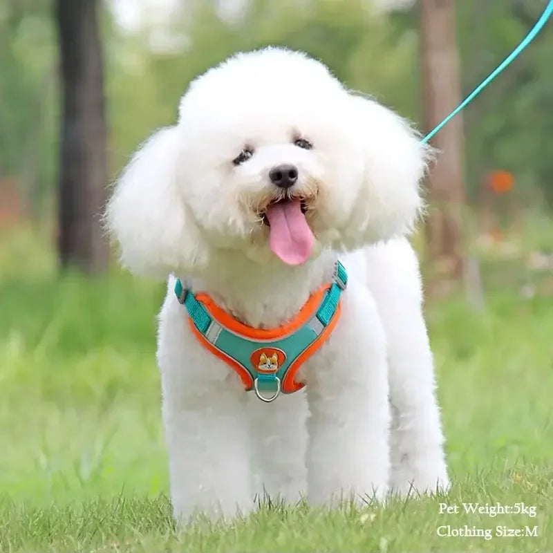 Reflective pet vest harness for small dogs and cats with retractable lead